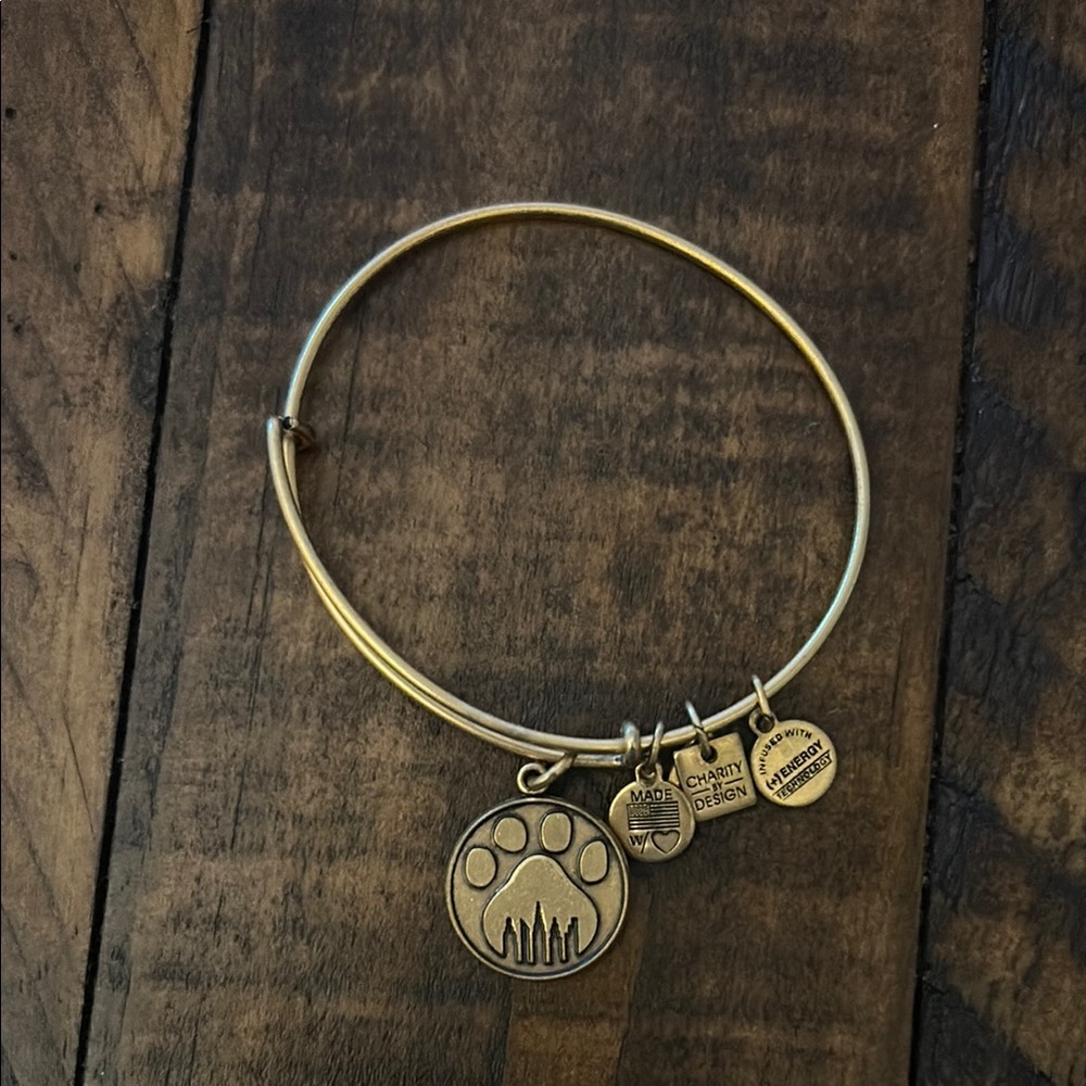 Alex and Ani - Gold Bangle Bracelet with Charms